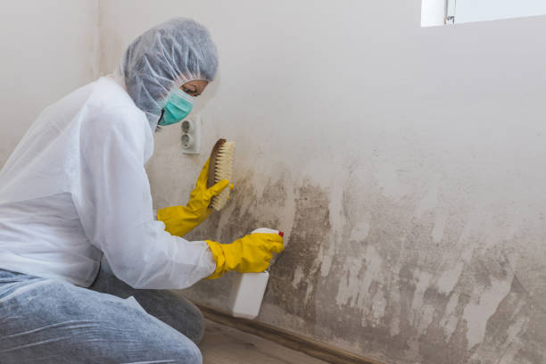Best Residential Mold Inspection & Testing  in Akron, IN