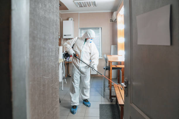 Best Emergency Mold Remediation  in Akron, IN