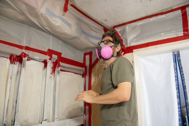 Akron, IN Mold Removal Company