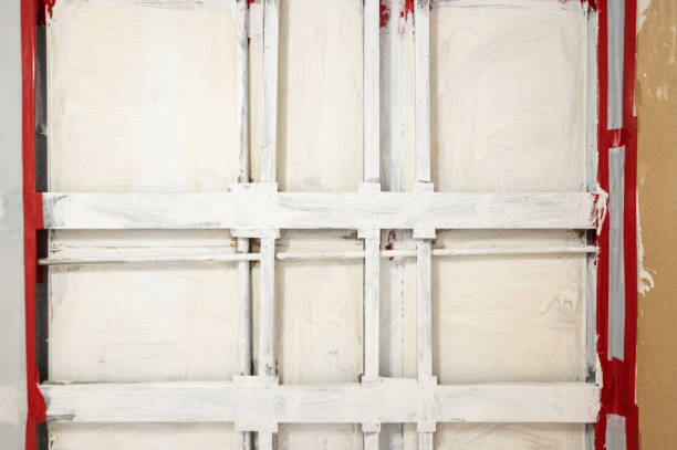 Best Black Mold Removal  in Akron, IN
