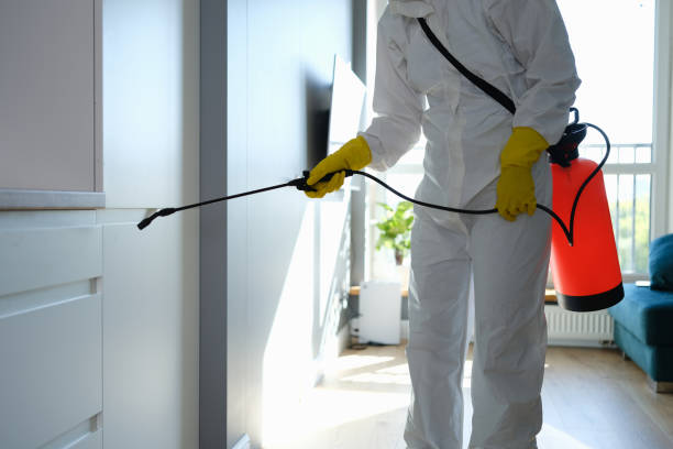 Best Real Estate Mold Inspection  in Akron, IN