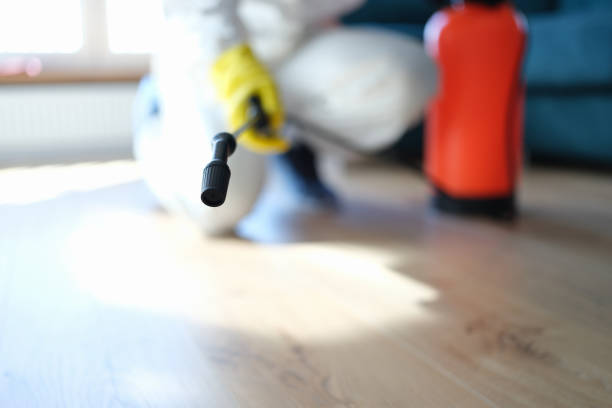 Mold Removal for HVAC Installations in Akron, IN
