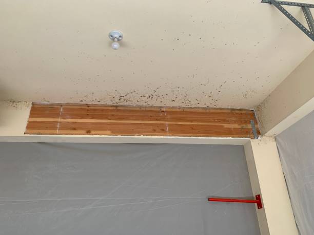 Best Air Quality Testing for Mold Spores  in Akron, IN